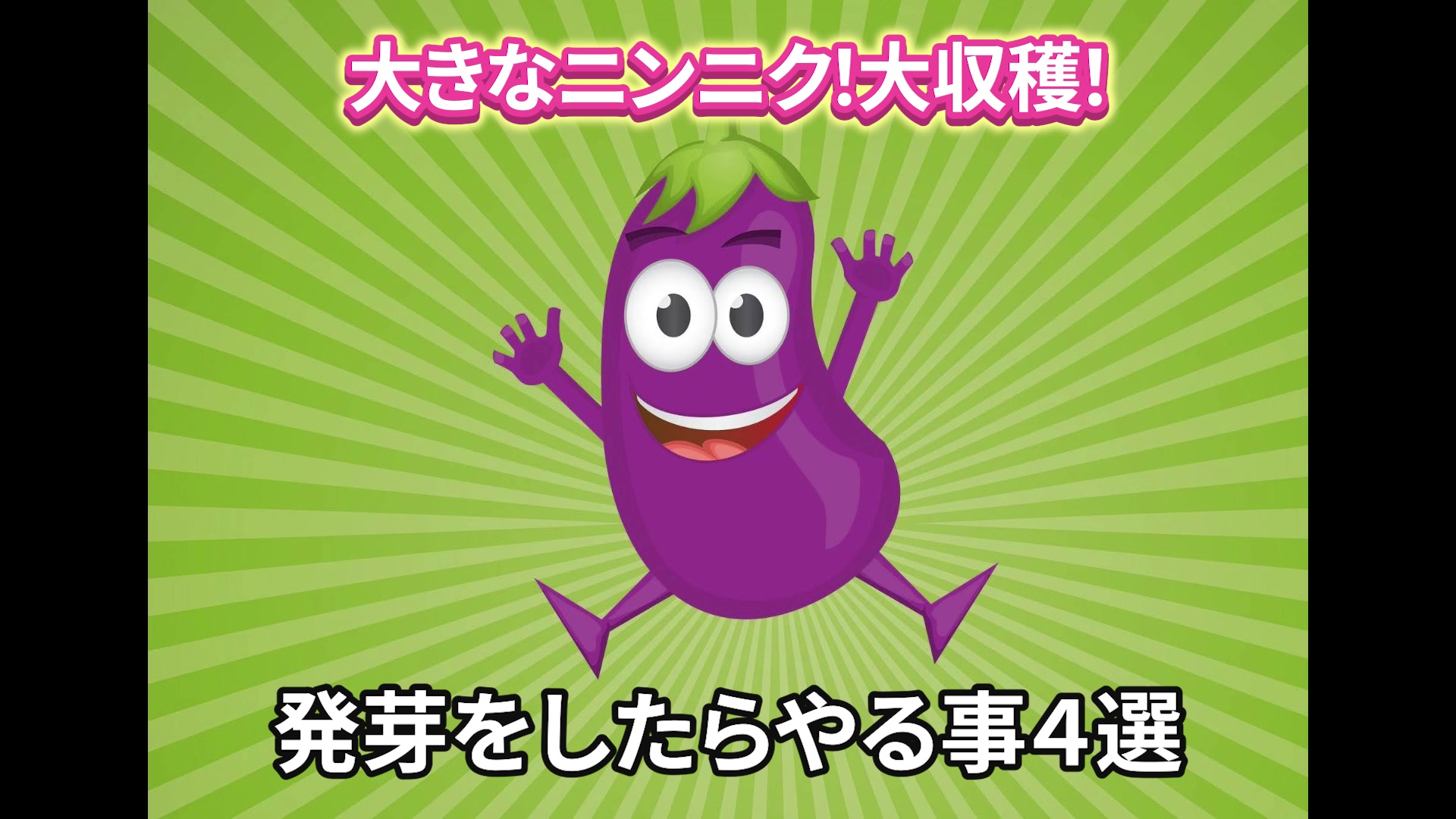 大きなニンニクを収穫するための発芽後4作業