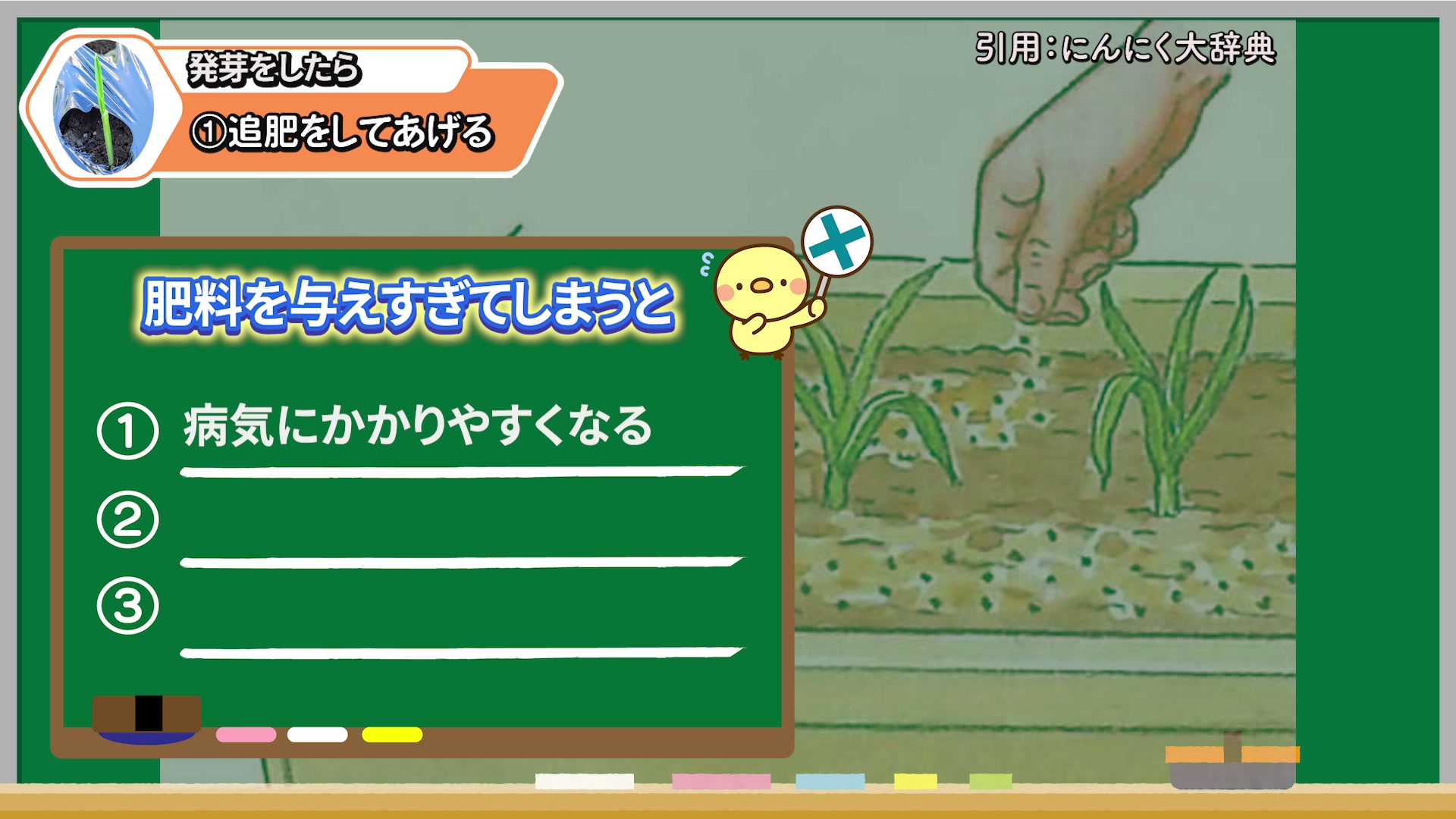 ニンニクへ肥料を与えすぎた場合の注意点