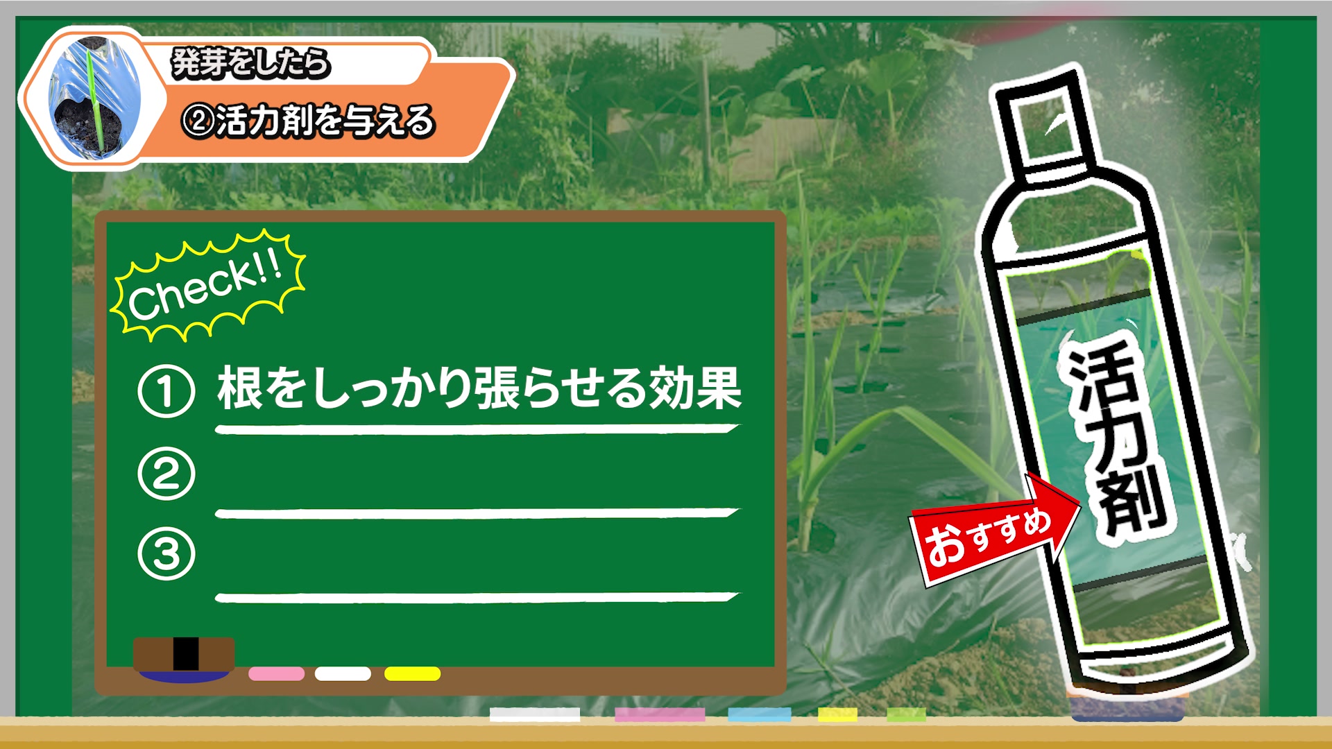肥料と植物用活力剤の役割の違い