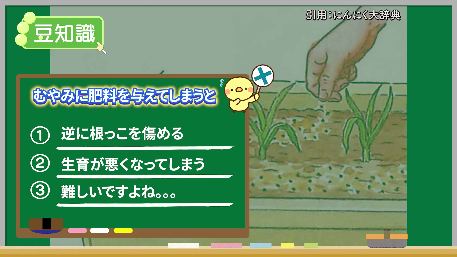 ニンニクの1回目と2回目の追肥時期