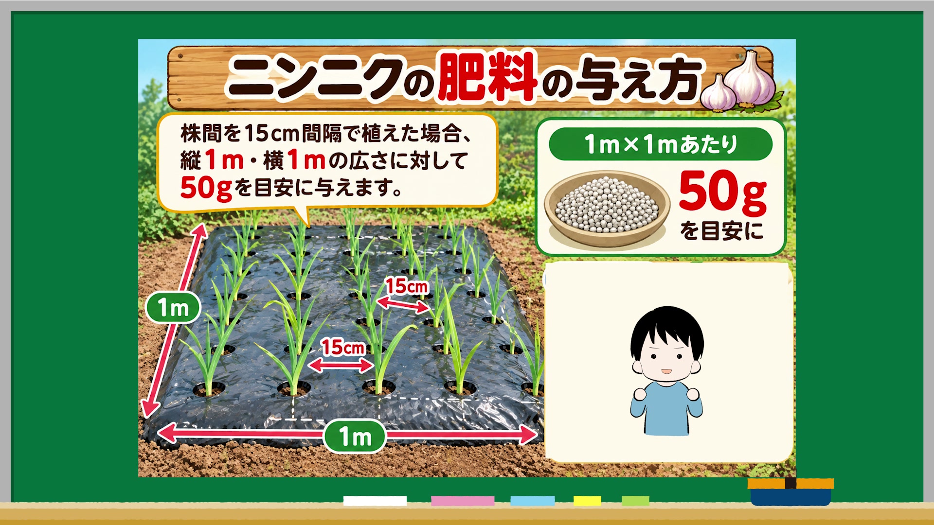 株の大きさが違っても同じ時期に追肥する