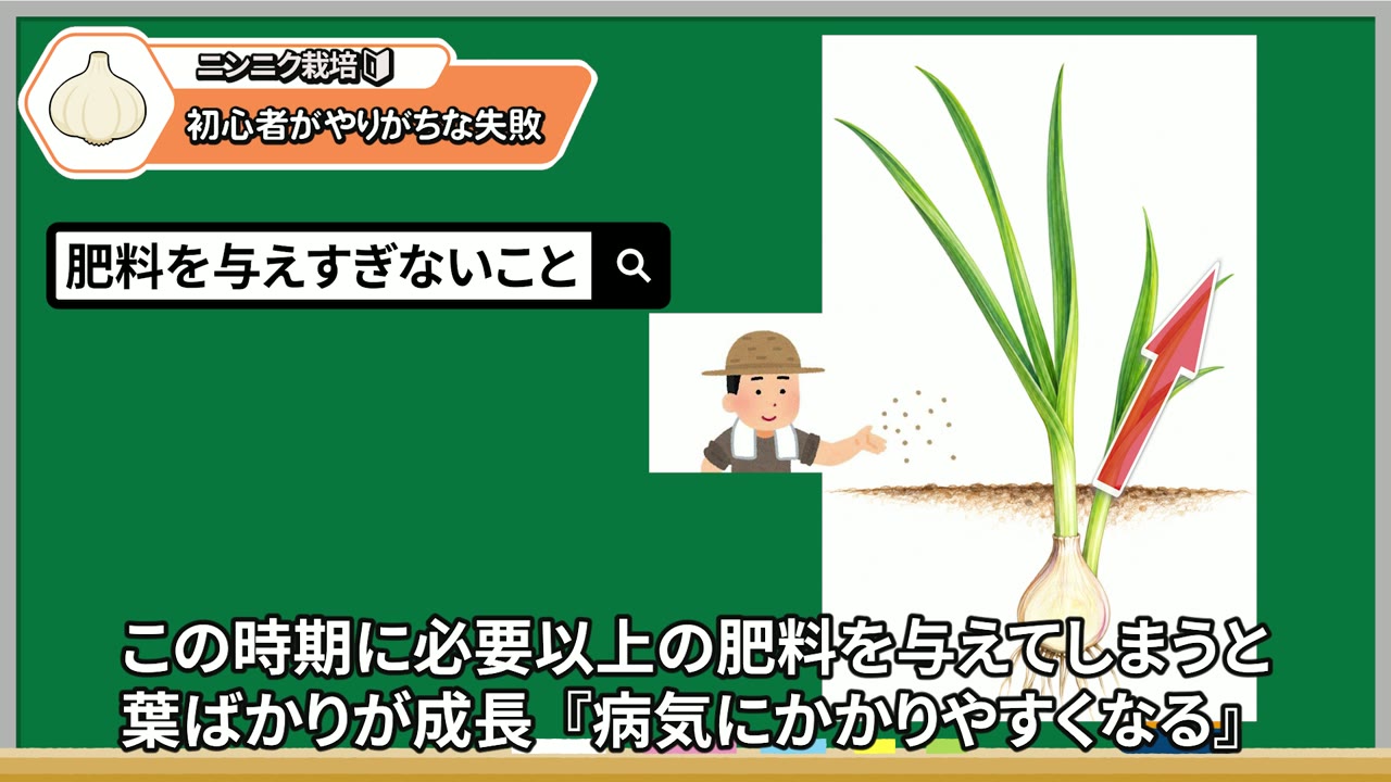 芽かき後に肥料を与えすぎないための動画の説明