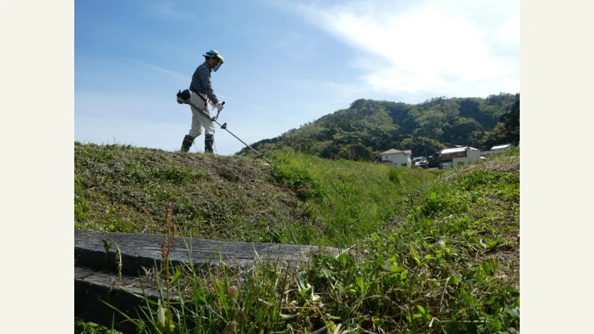 保護具を着けて家庭菜園周りの草を草刈機で刈る実写