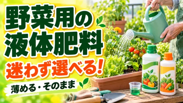 野菜用の液体肥料を薄めるタイプとそのまま使うタイプから選ぶ記事のアイキャッチ