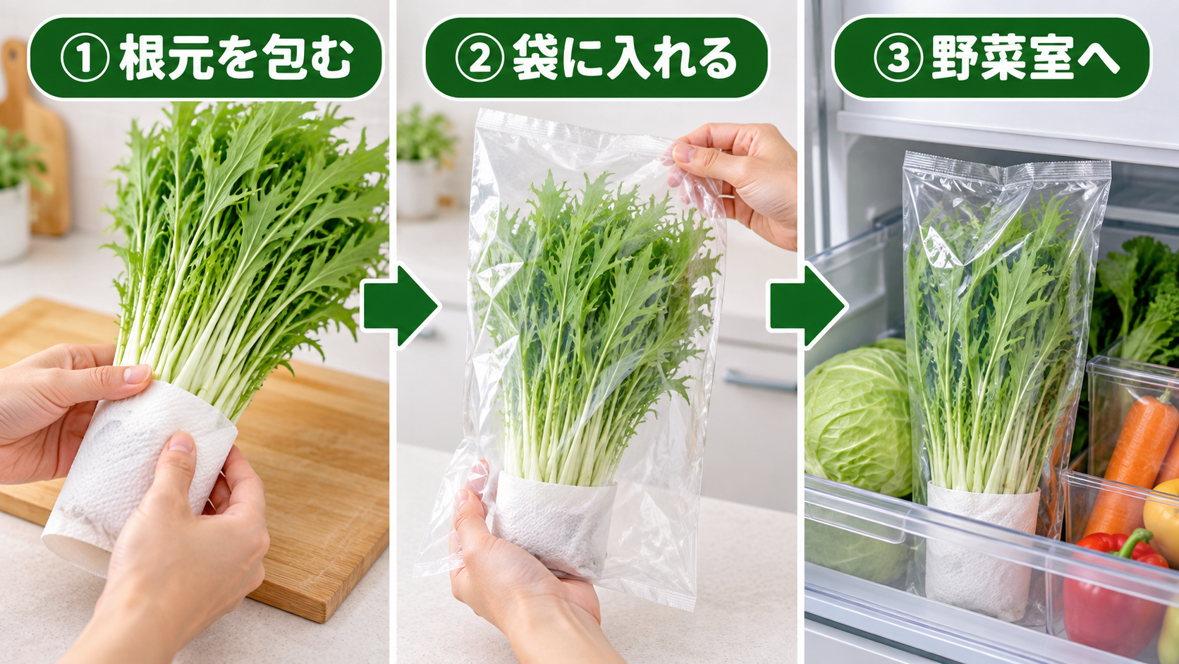収穫した水菜を乾燥から守って野菜室へ保存する3ステップ