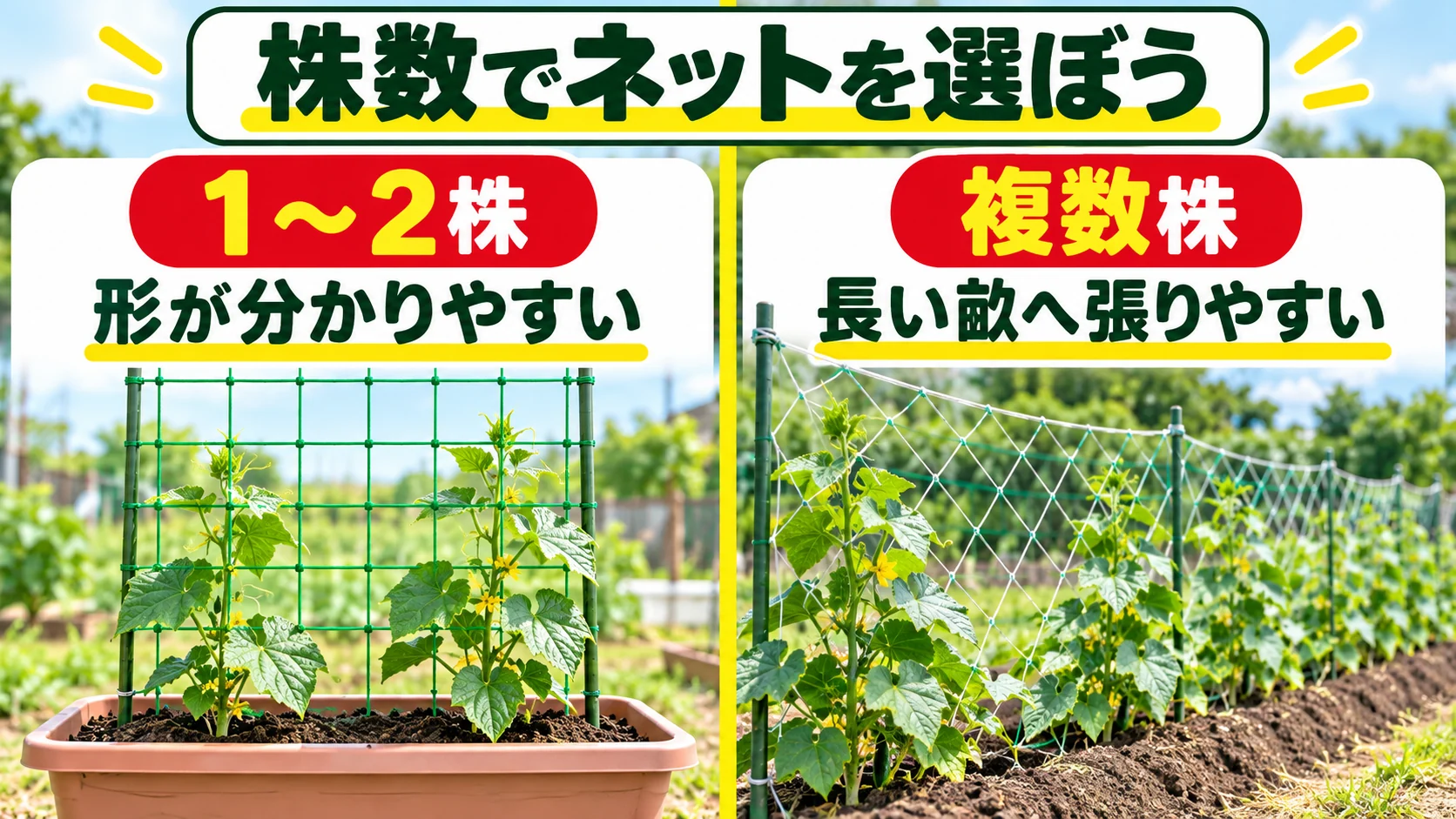1~2株と複数株で使いやすいきゅうりネットを選ぶ図