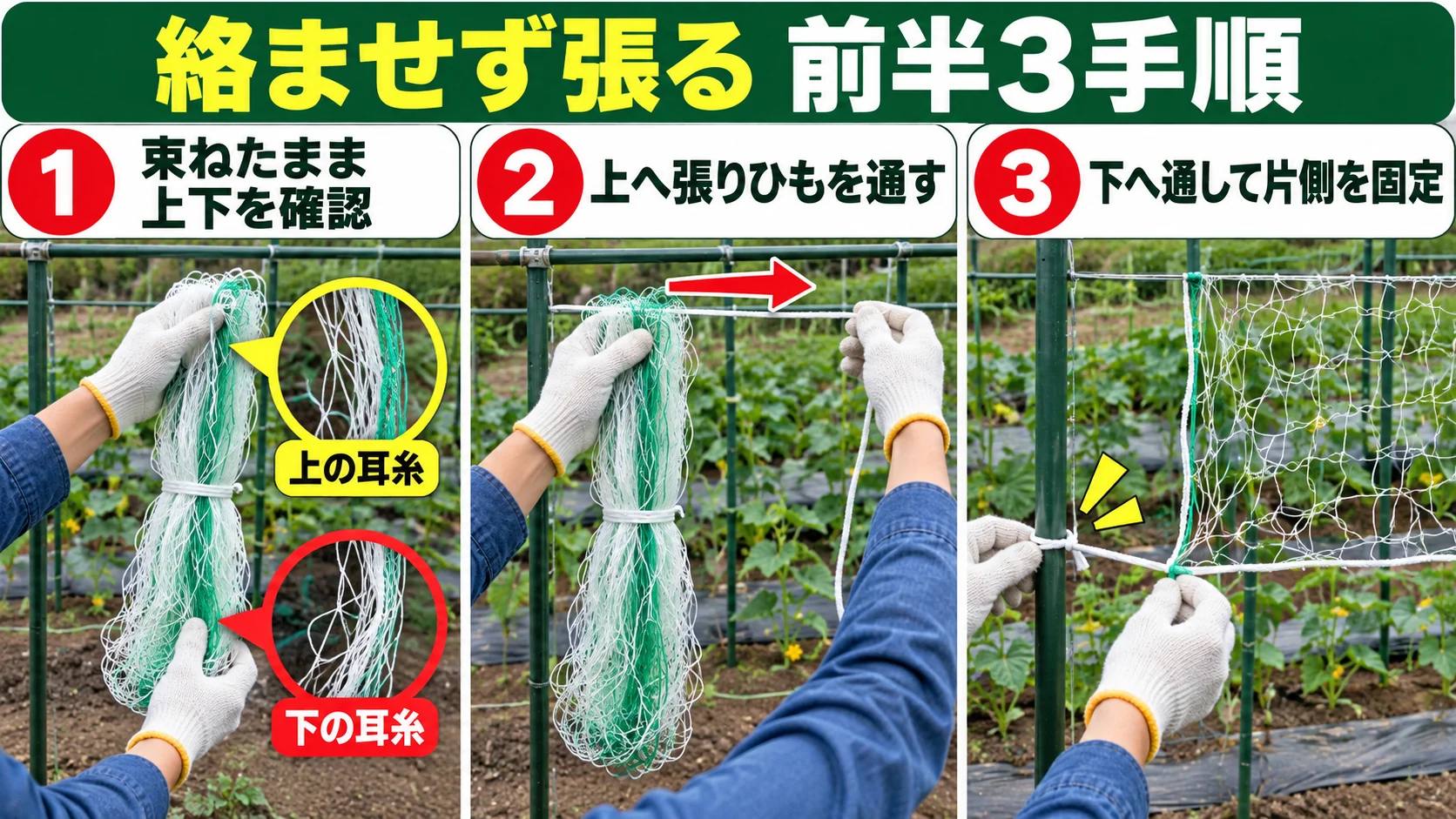 きゅうりネットを絡ませず張る前半1から3の手順