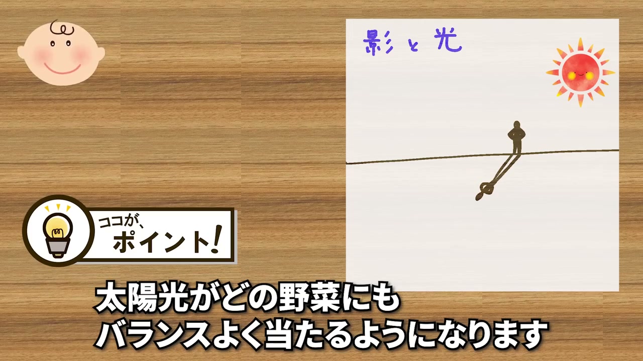 太陽の高さと影を考えて野菜を配置する説明