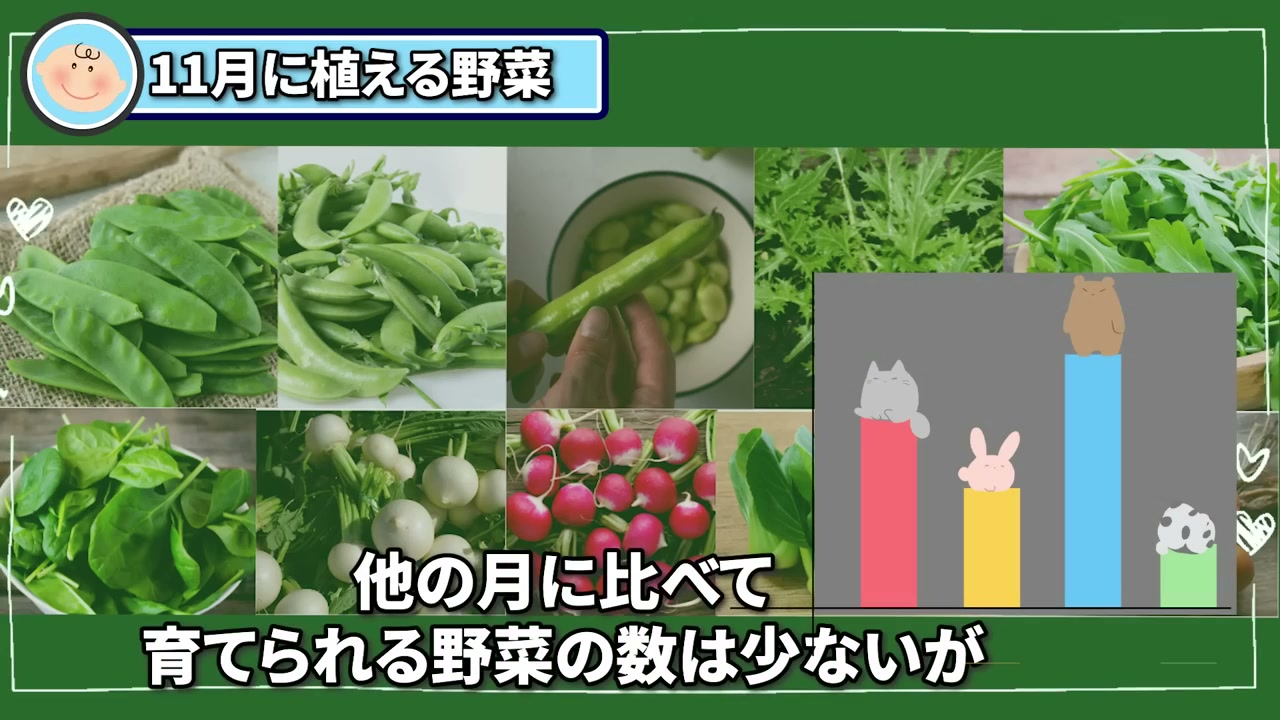 11月に植えられる葉物野菜や豆類などの秋冬野菜