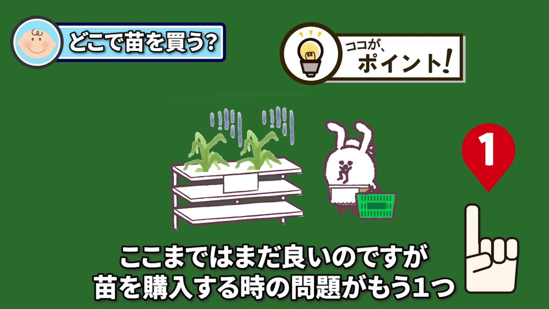 植え付け適期まで待つと玉ねぎ苗が売り切れることもあると伝える動画画像