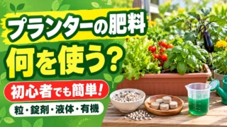 粒・錠剤・液体・有機からプランター野菜の肥料を選ぶ記事のアイキャッチ