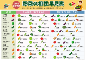 野菜の相性早見表