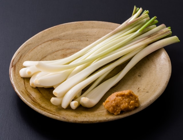 収穫したエシャレットに味噌を添えた食べ方