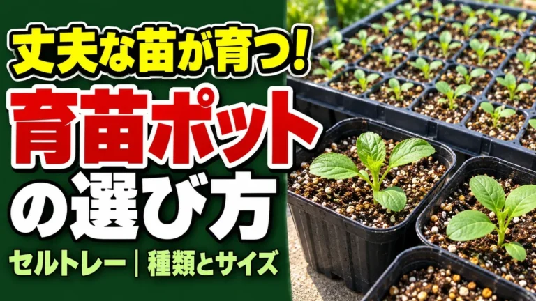 育苗ポットやセルトレーから選びたい方へ