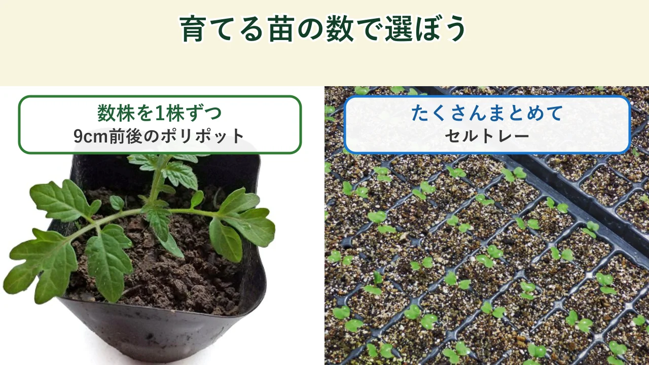 育てる苗の数でポリポットとセルトレーを選ぶ図