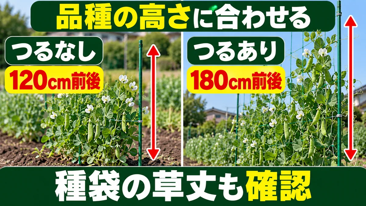 つるなし種は120cm前後、つるあり種は180cm前後の支柱を選ぶ図