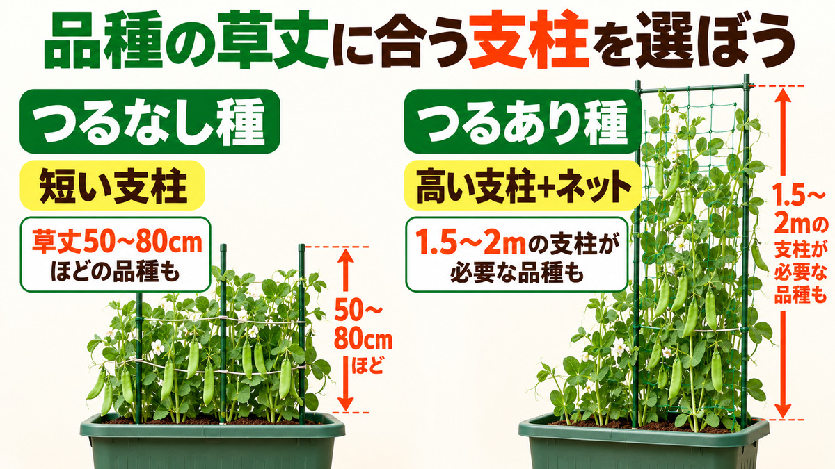 つるなし種とつるあり種に合う支柱