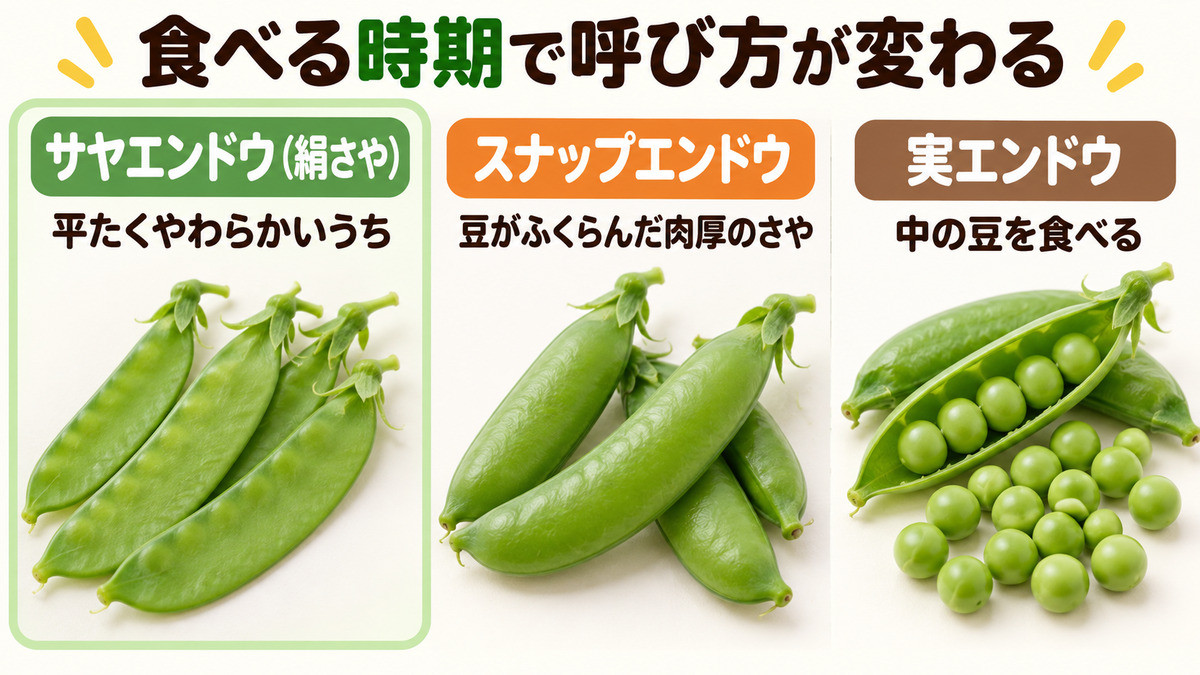 サヤエンドウ・スナップエンドウ・実エンドウの違い