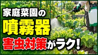 家庭菜園の噴霧器で害虫対策がラクになることを伝えるアイキャッチ