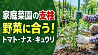 家庭菜園で野菜に合う支柱を選ぶ記事のアイキャッチ