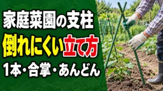 家庭菜園で倒れにくい支柱の立て方を解説する記事のアイキャッチ