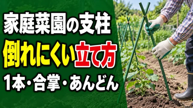 家庭菜園で倒れにくい支柱の立て方を解説する記事のアイキャッチ