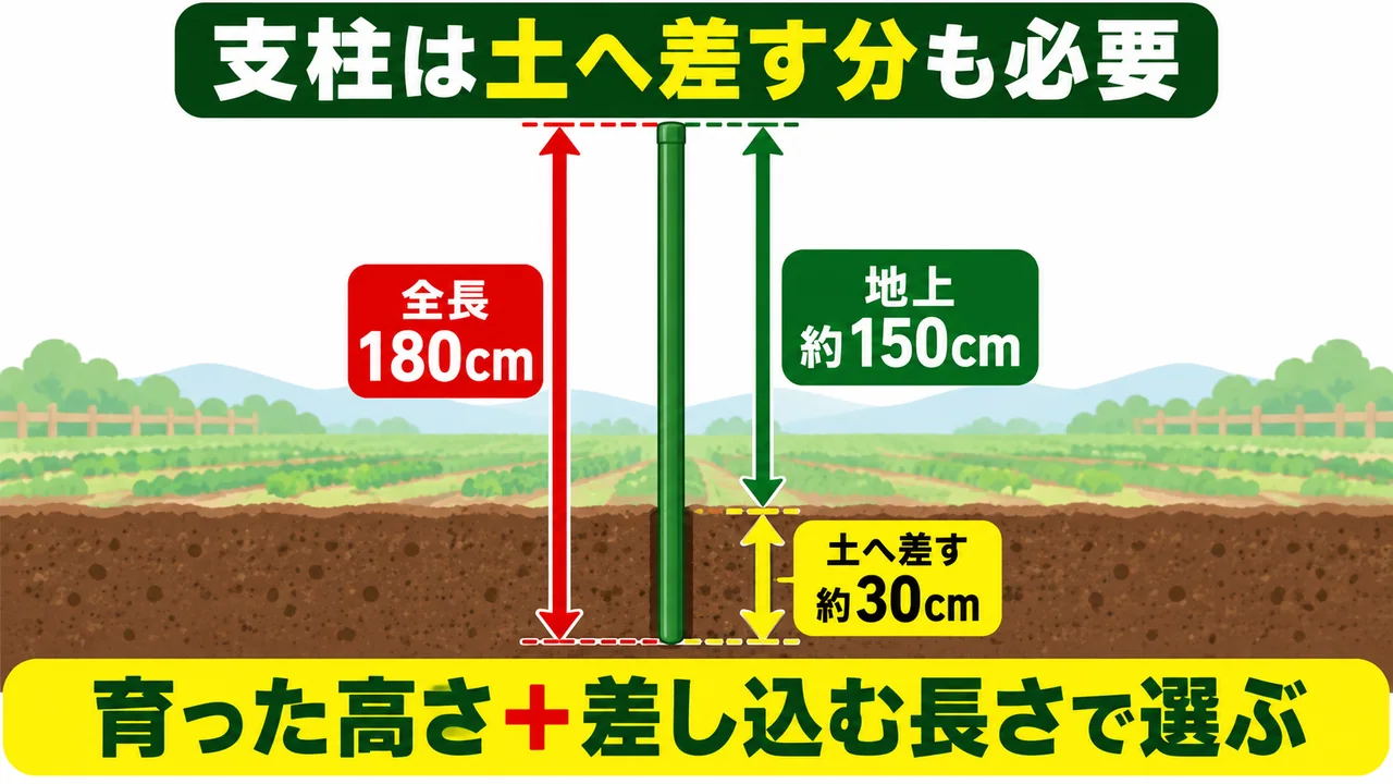 全長180cmの支柱は土へ約30cm差し地上で約150cm使う図