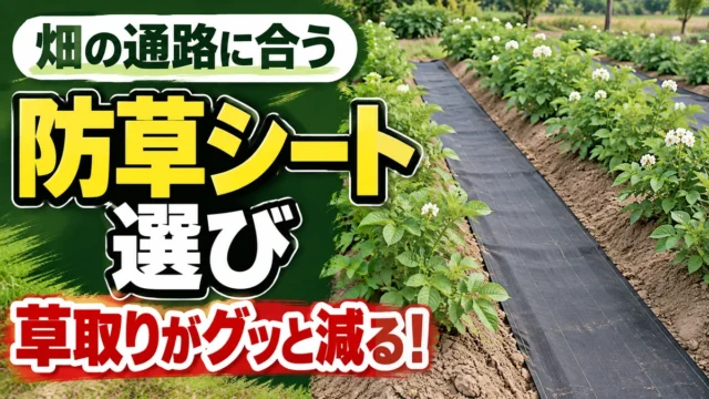畑の通路に合う防草シートを選び草取りを減らす記事のアイキャッチ