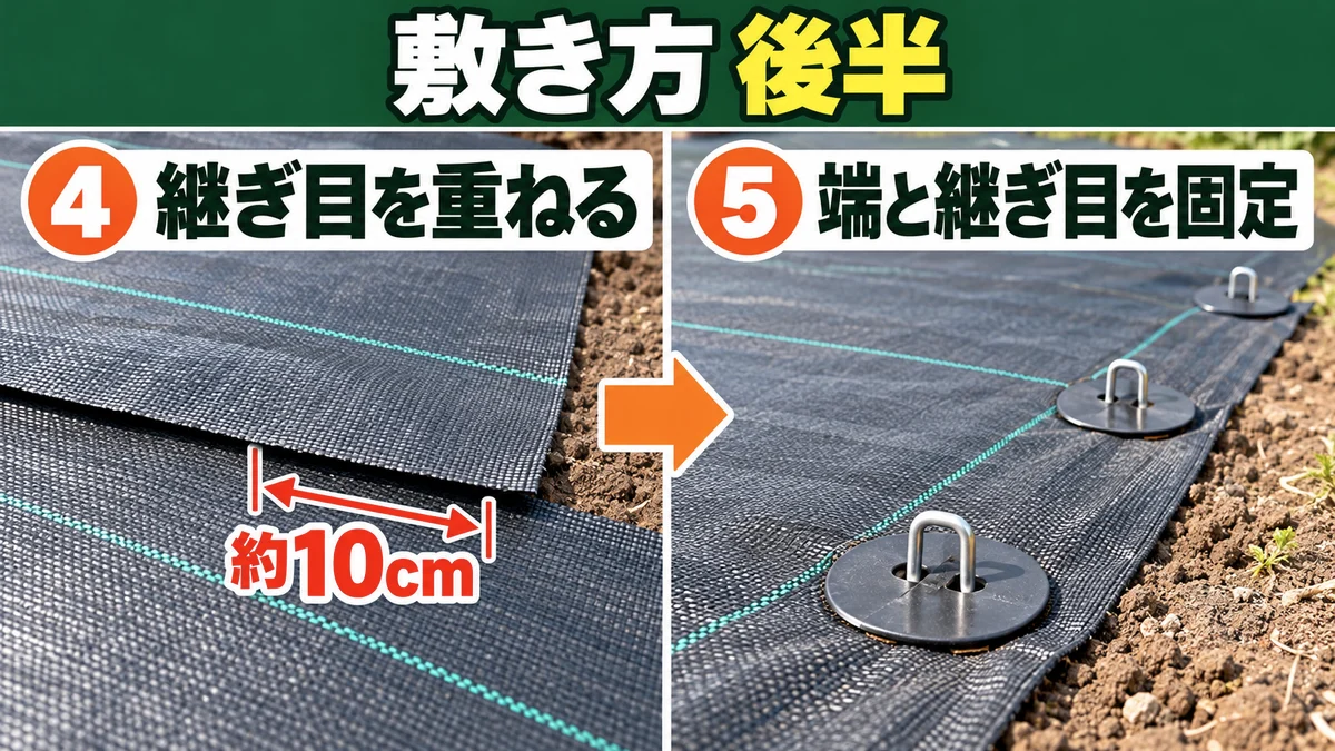 防草シートの敷き方後半 継ぎ目を約10cm重ね端と継ぎ目をピンで固定する