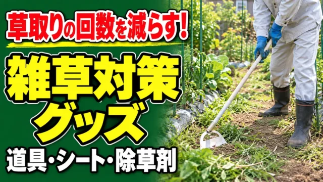 草取りの回数を減らす家庭菜園の雑草対策グッズを紹介するアイキャッチ