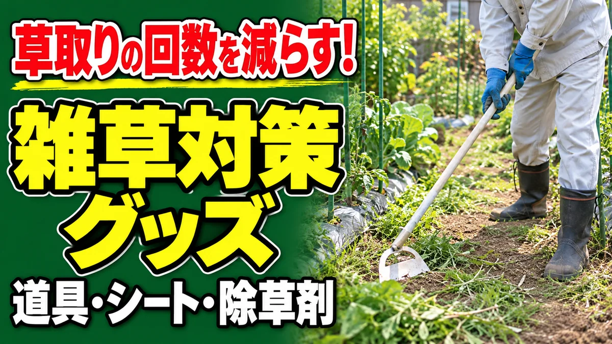 草取りの回数を減らす家庭菜園の雑草対策グッズを紹介するアイキャッチ