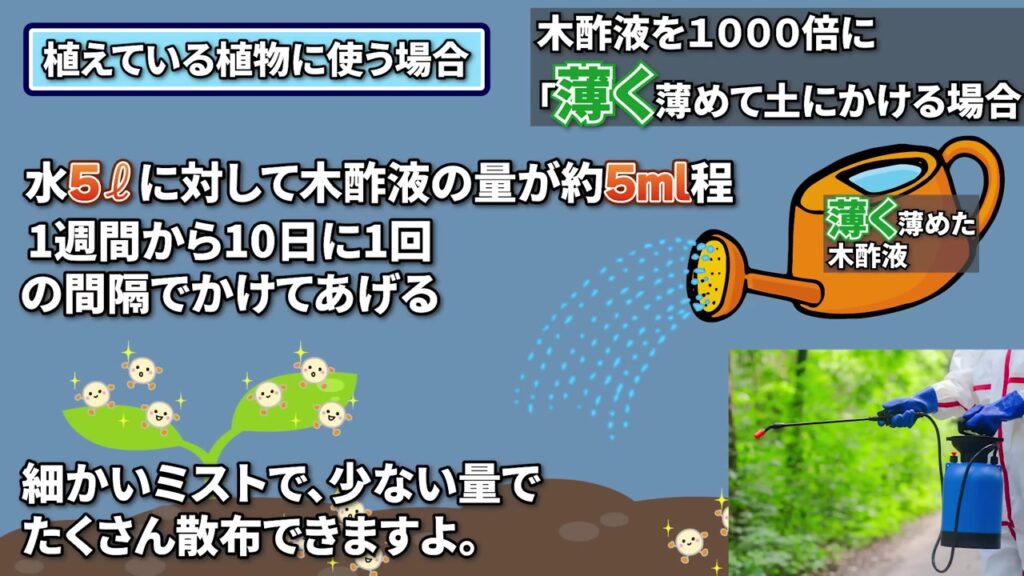 動画で紹介する水5Lに木酢液約5mLと1週間から10日に1回の使用例